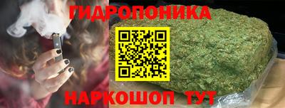 стафф Бердск