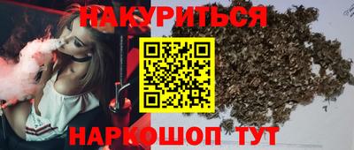 стафф Бердск