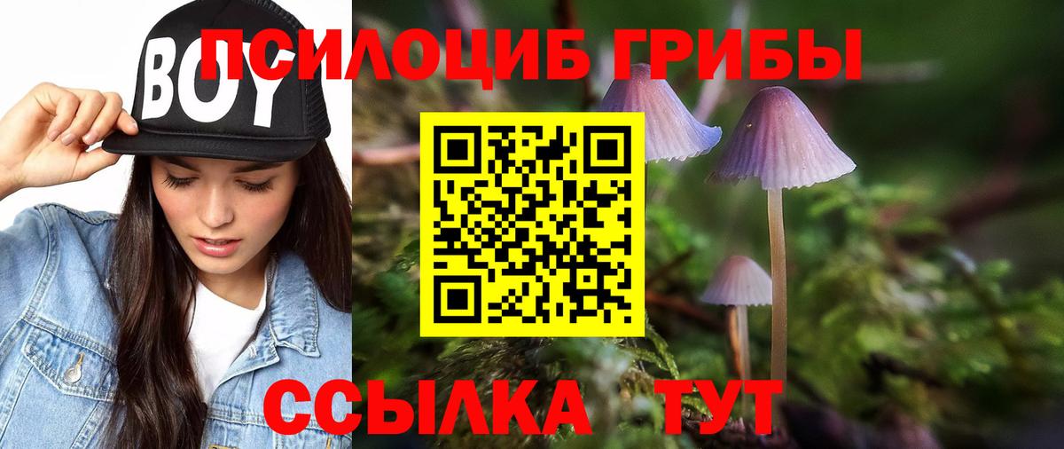 Галлюциногенные грибы Psilocybe  Галлюциногенные грибы мухоморы  Аргун  Вход с VPN 