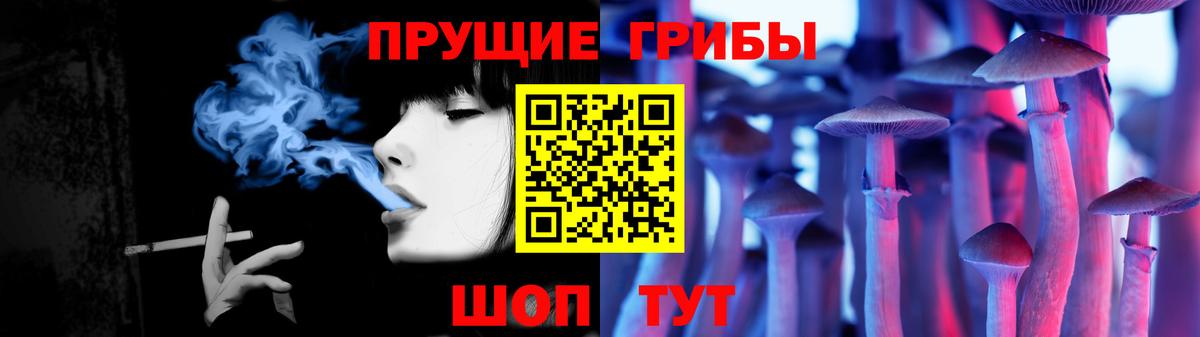 Псилоцибиновые грибы мицелий Аргун